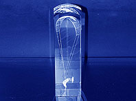 Szklana statuetka z trójwymiarowym obrazem -Nagroda w mistrzostwach Loop'a