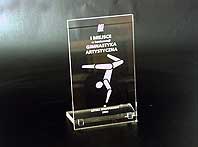 Nagroda w letniej spartakiadzie
w konkurencji Gimnastyka Artystyczna